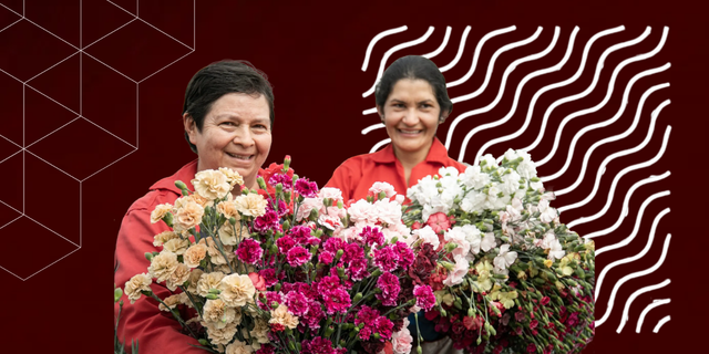 Economía colombiana inicia 2026 con baja inflación y señales positivas en empleo y exportaciones