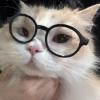 Profile picture for user jing2 ran