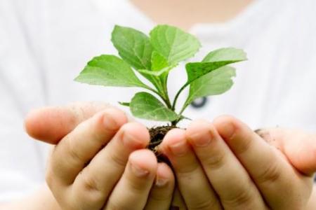 Imagen: campaña #DíaMundialDeMedioAmbiente