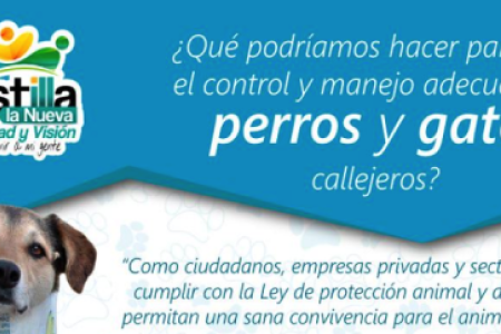 Imagen de EJERCICIO