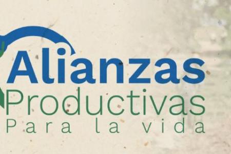 Imagen de EJERCICIO