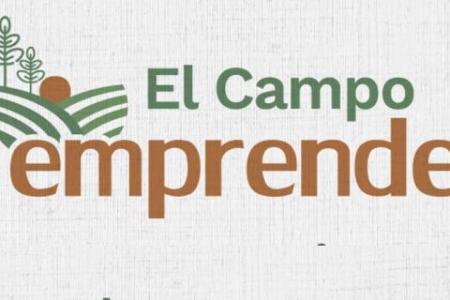 Imagen de EJERCICIO