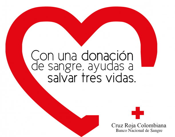 Imagen de noticia